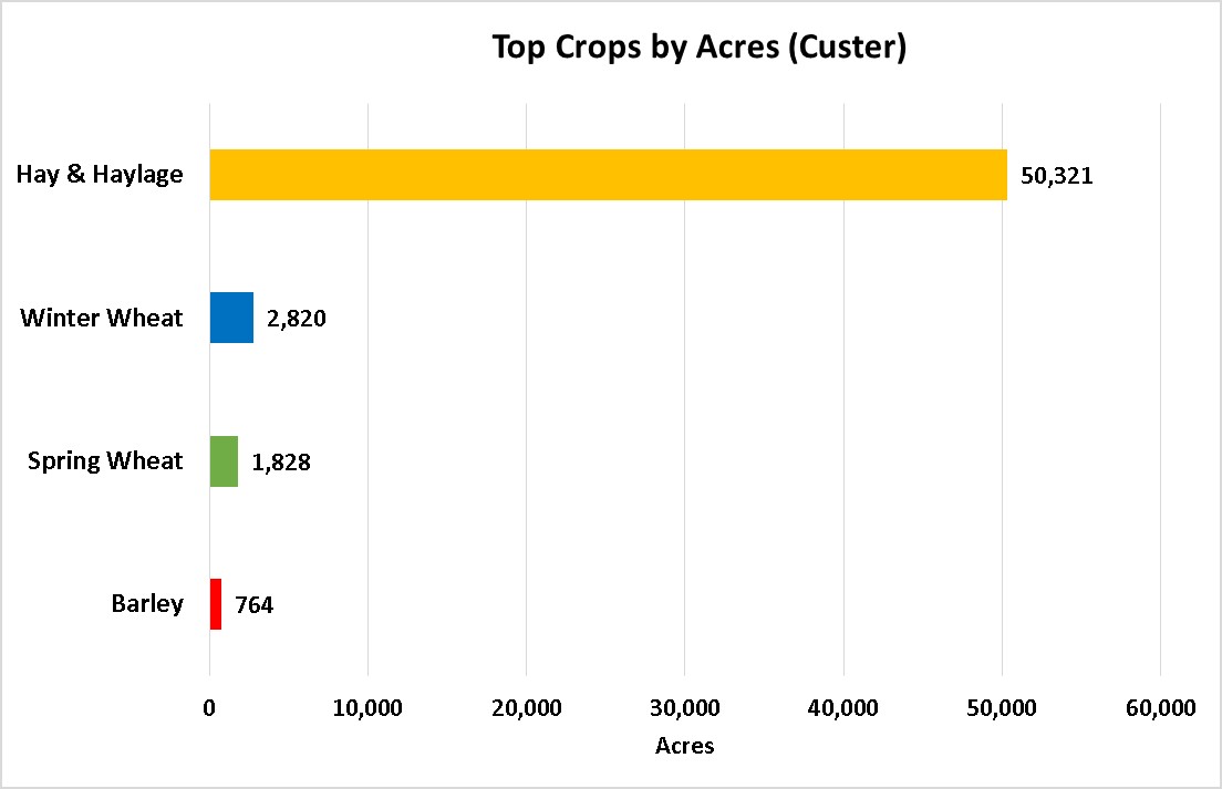 Tops Crops by Acre-Custer County