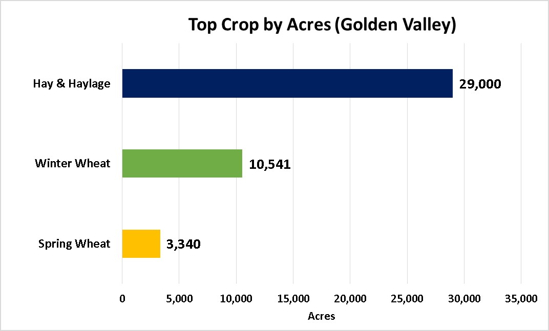Tops Crops by Acre-Golden Valley County