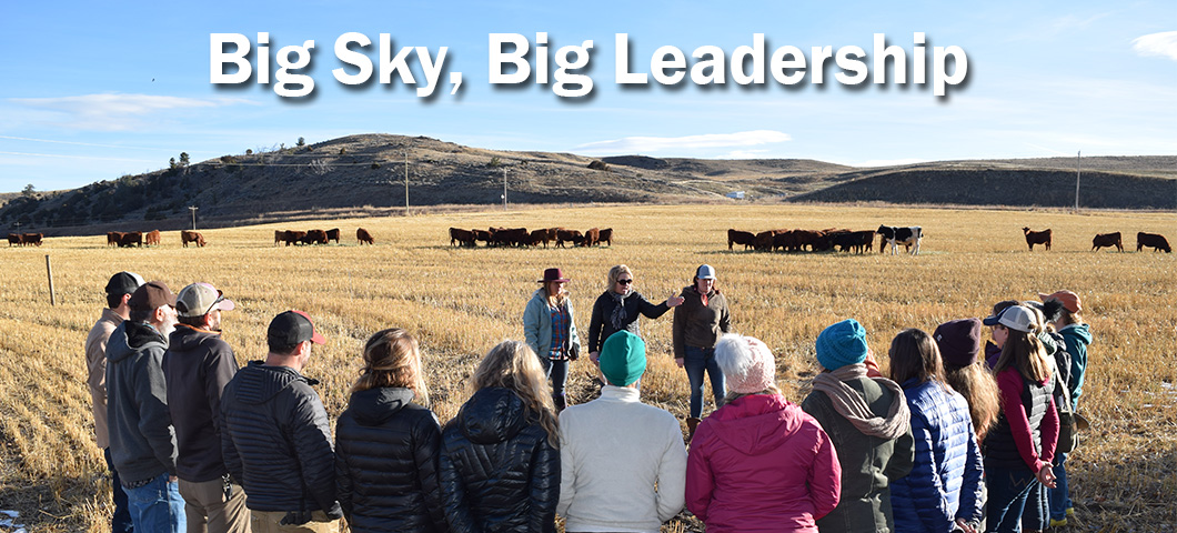 Big Sky, Big Leadership, MSU Extension's leadership program, was created as a tool that MSU Extension Agents and citizens can use to advance the leadership in their community.  The objective of Big Sky, Big Leadership is to help community members build their own leadership skills and community groups work more effectively together for positive change.