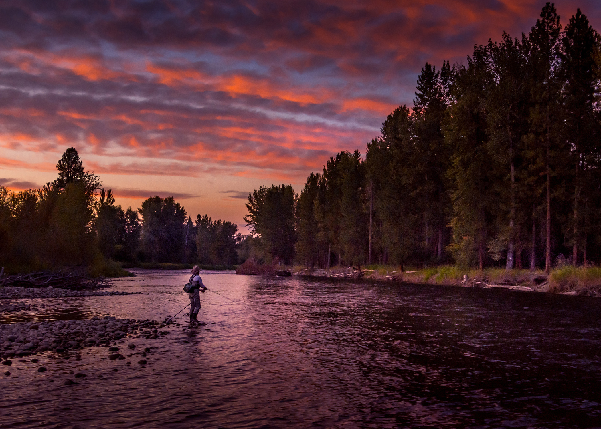 Fly fisherman casting in the river.