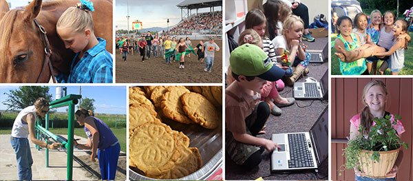 Youth and 4-H events and projects