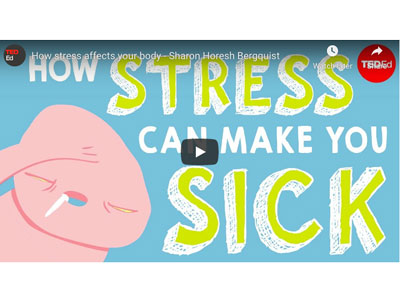 How Stress Affects Your Body Video 